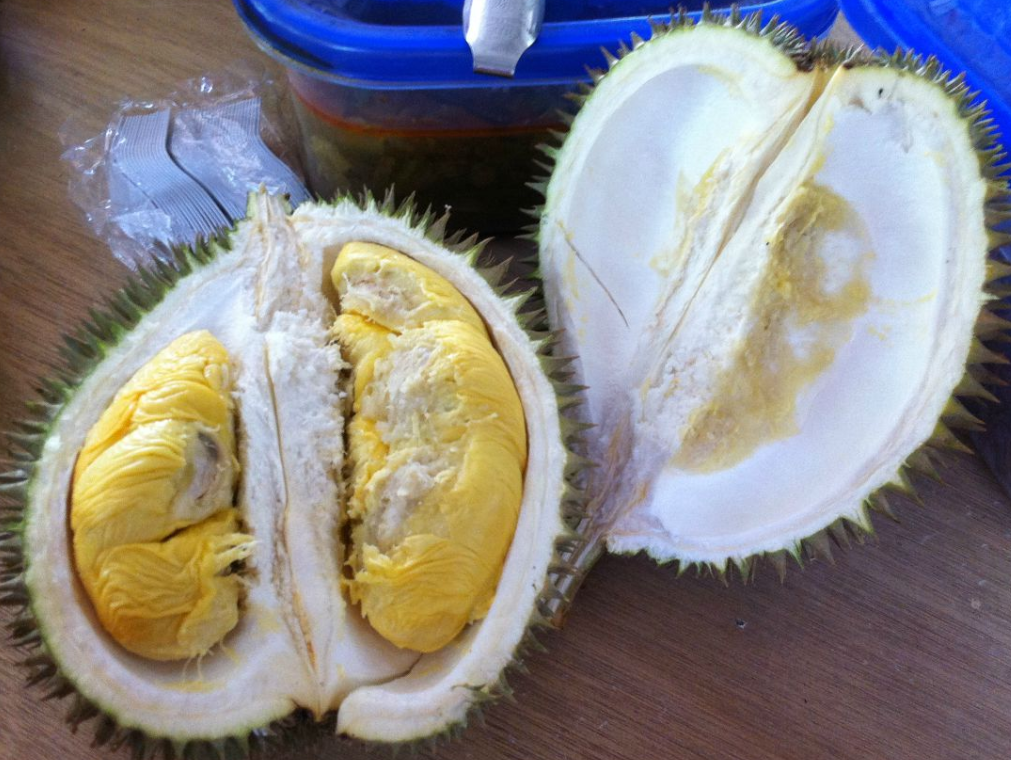 Durian MSw